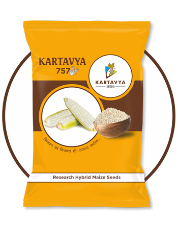 KARTAVYA SEEDS