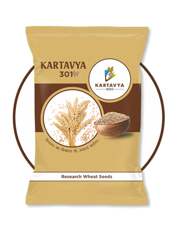 KARTAVYA SEEDS