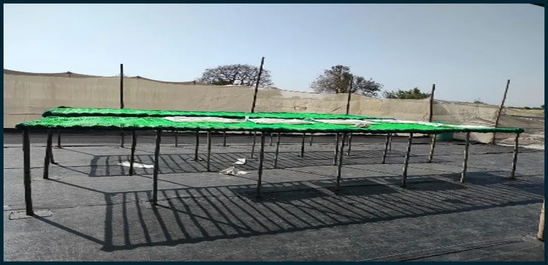 Seed Processing Units (grading, drying, treatment)