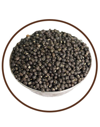 KARTAVYA SEEDS