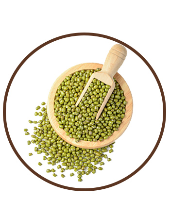 KARTAVYA SEEDS