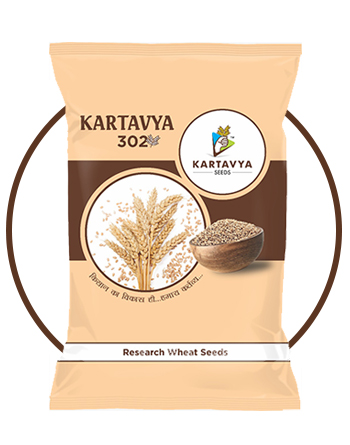 KARTAVYA SEEDS