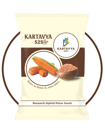 KARTAVYA SEEDS