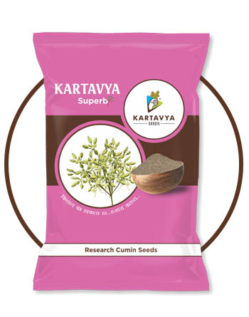 KARTAVYA SEEDS