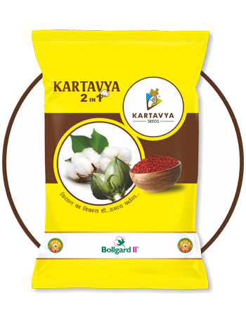 KARTAVYA SEEDS