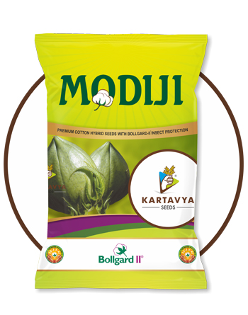 KARTAVYA SEEDS